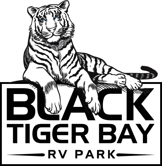 Black Tiger Bay Rv Park Logo - Tiger Logo Black And White (528x542), Png Download