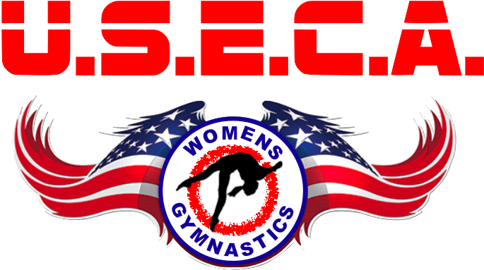 Celebrating 42 Years Of Gymnastics Service - Gymnastics (723x422), Png Download