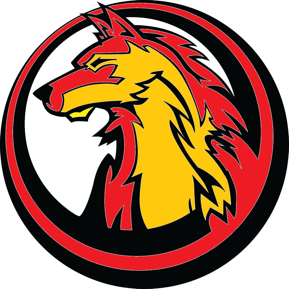 Wolf Logo Png (1000x1000), Png Download