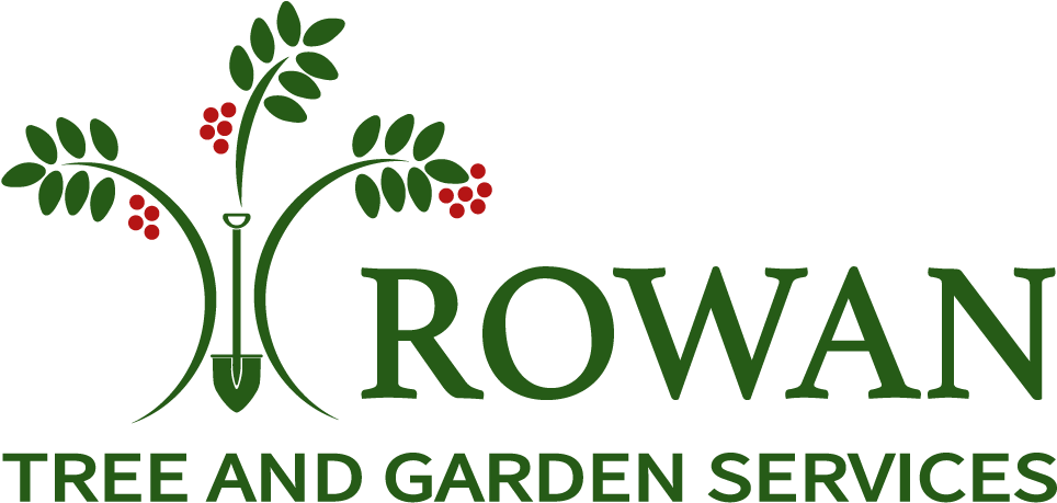 Rowan Tree And Garden Services - Us Century Bank Png (1000x509), Png Download