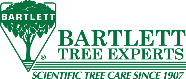 Bartlett Tree Experts - Bartlett Tree Experts Logo (640x274), Png Download