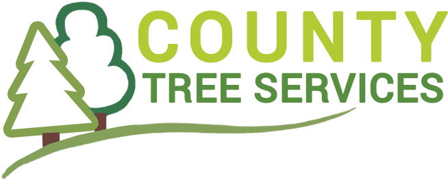 2018 • Privacy Policy - Pizza Hut Coupons 2010 (660x267), Png Download