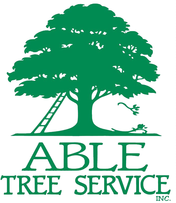 Able Tree Service (698x800), Png Download