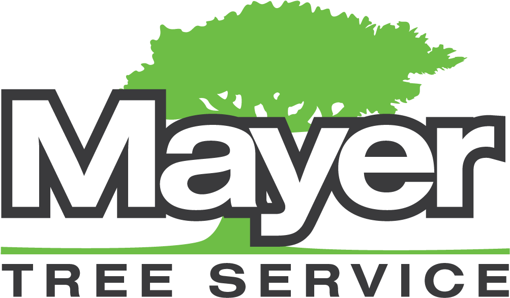 About Mayer Tree Service - Mayer Tree Service (1024x608), Png Download