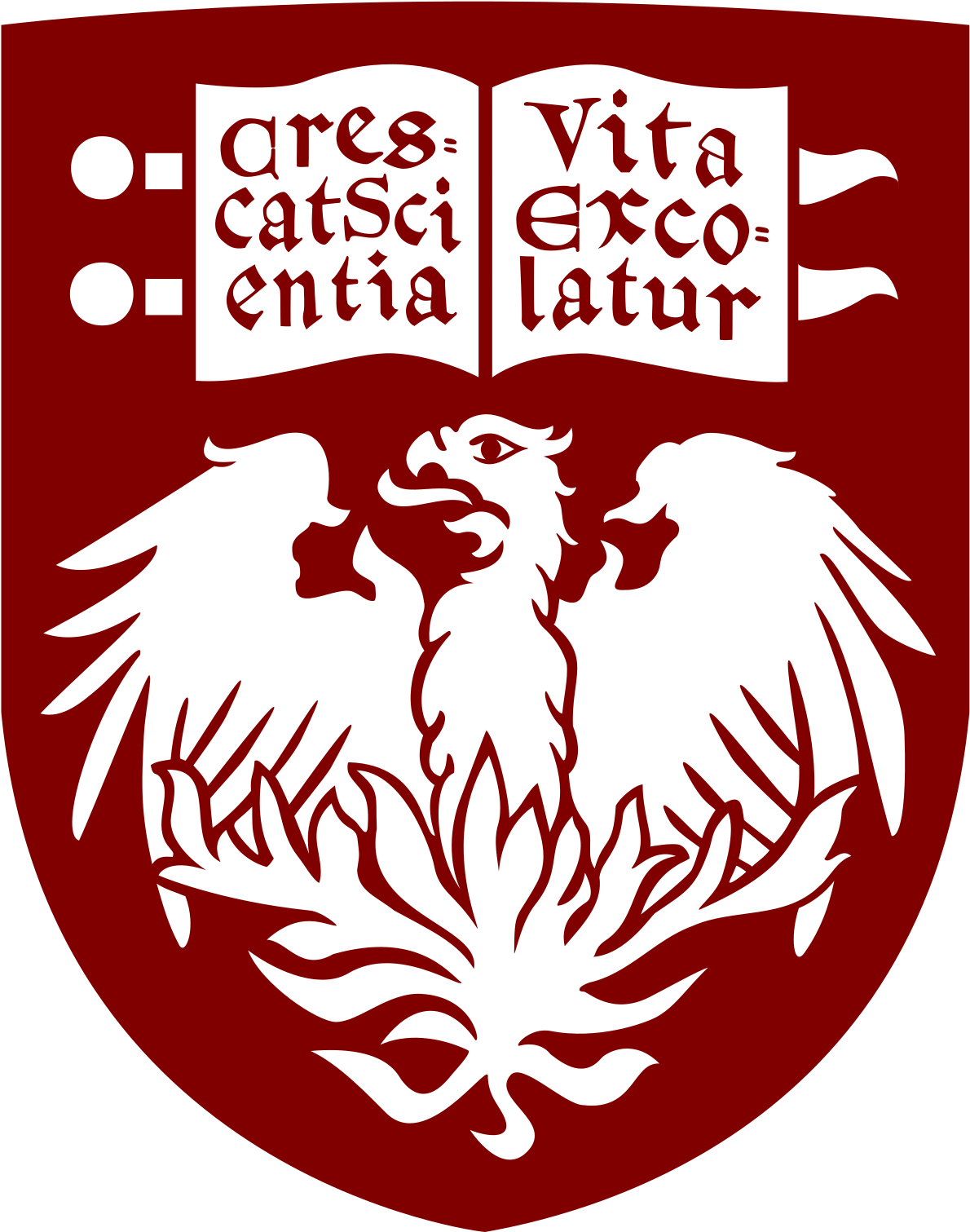 University Of Chicago - University Of Chicago Logo (1200x1523), Png Download