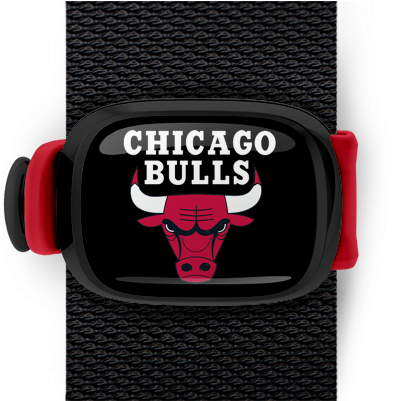 Chicago Bulls Stwrap - Chicago Bulls Nylon Wallet (550x400), Png Download