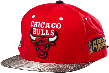 Chicago Bulls Sold Out - Chicago Bulls (480x384), Png Download
