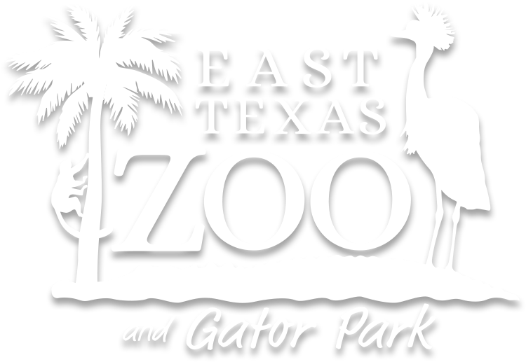 East Texas Zoo & Gator Park - East Texas Zoo (800x600), Png Download