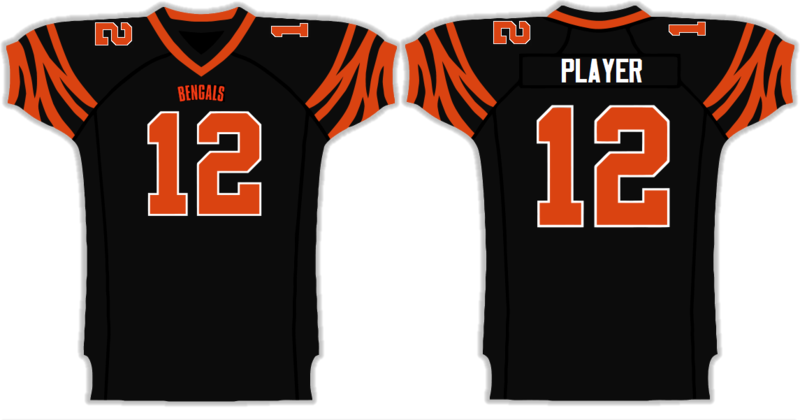 Bengalshomevector-1 - Cincinnati (800x420), Png Download