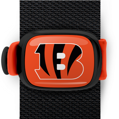 Cincinnati Bengals Stwrap - Buckle (550x400), Png Download