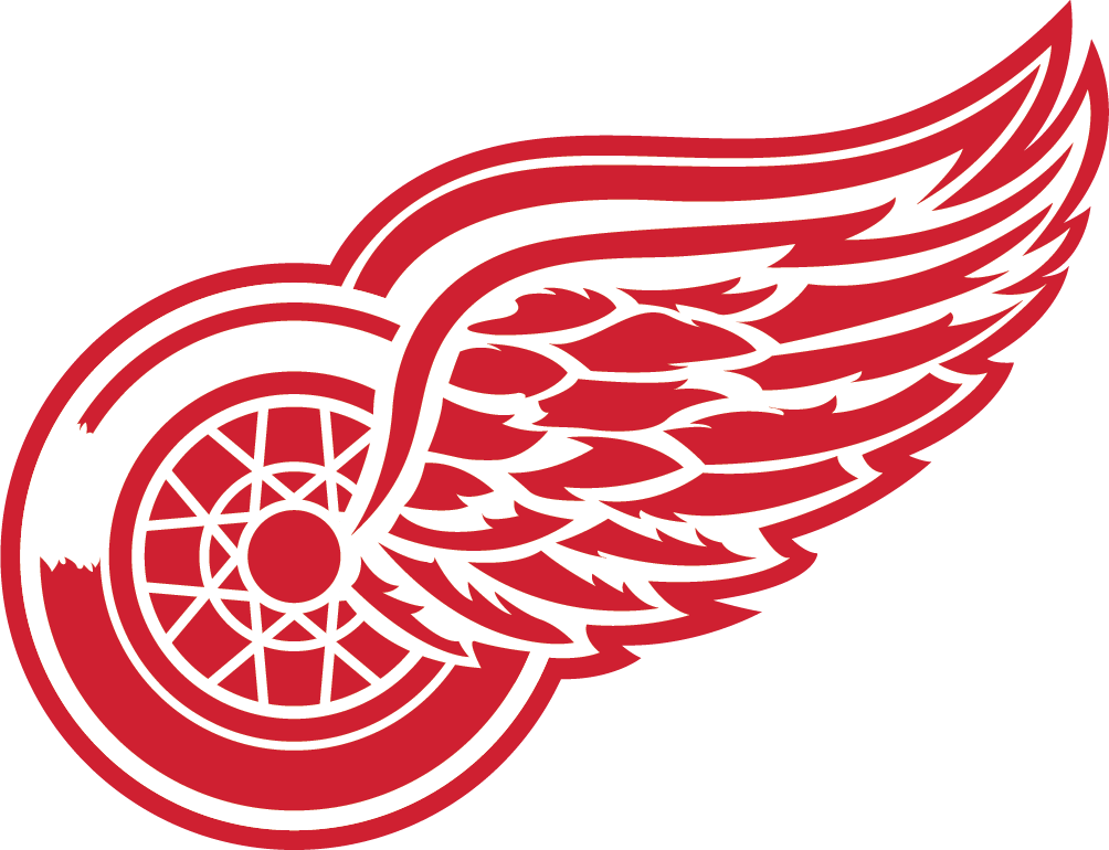 Ehned3h - Detroit Red Wings Concept Logo (1004x770), Png Download