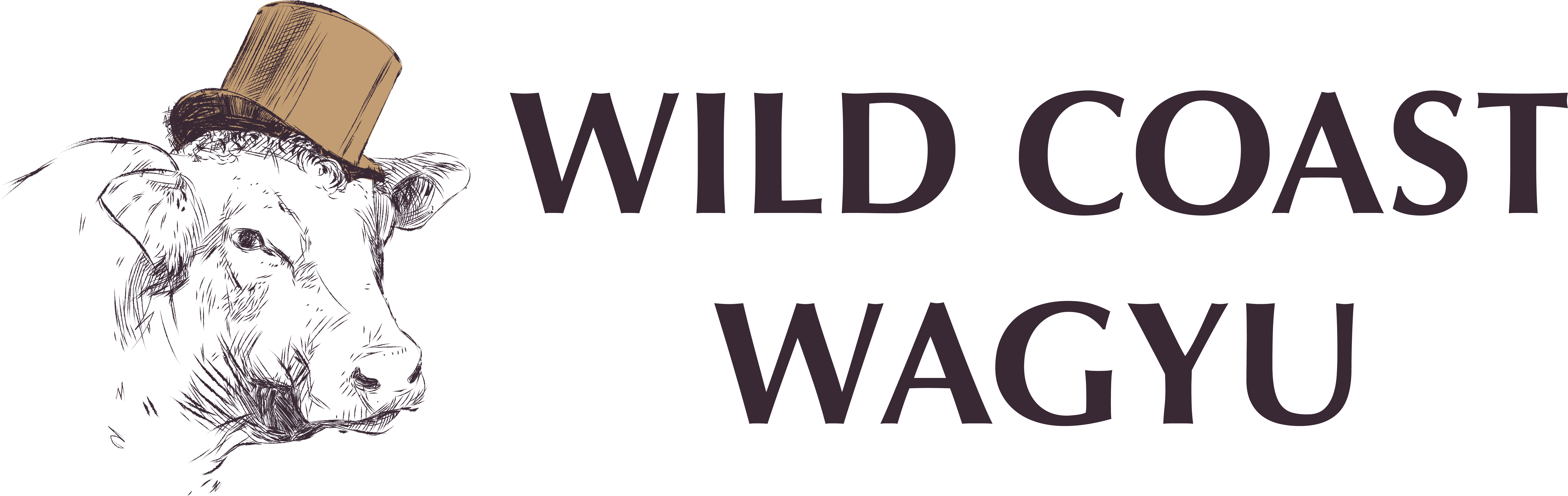 Wcw Logo Larger-01 - Universidad Del Pacifico (7463x2500), Png Download