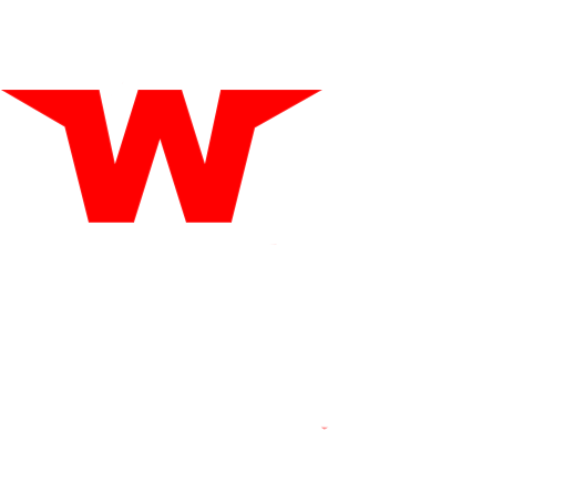 Wing City Wings (516x504), Png Download