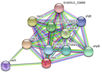 Circle (975x331), Png Download