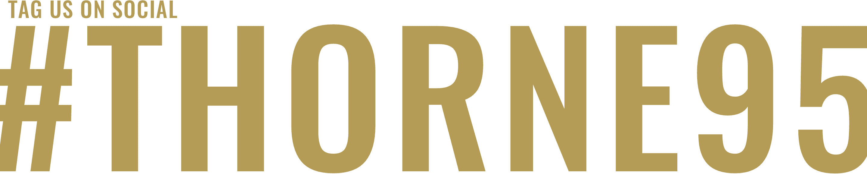 Why Choose Thorne - Beige (2880x580), Png Download