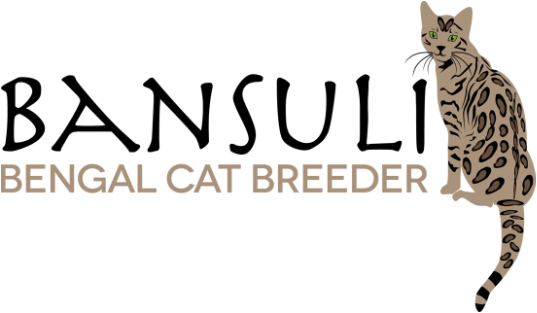 Bansuli Bengals - Mandala: Journey To The Center (537x313), Png Download