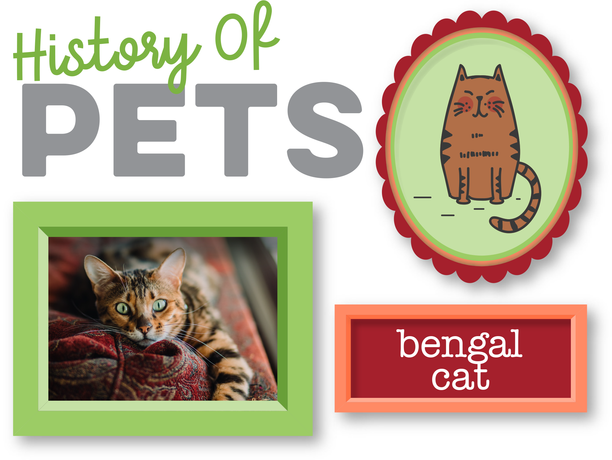 History Of Pets Bengal Cat - Pet (1950x1467), Png Download