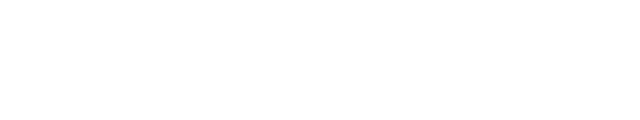 A Comprehensive, Creative, And Dynamic Photographic - Graypants, Inc. (1024x256), Png Download