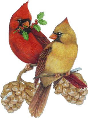 Upload Image - Male And Female Cardinal Drawing (313x437), Png Download