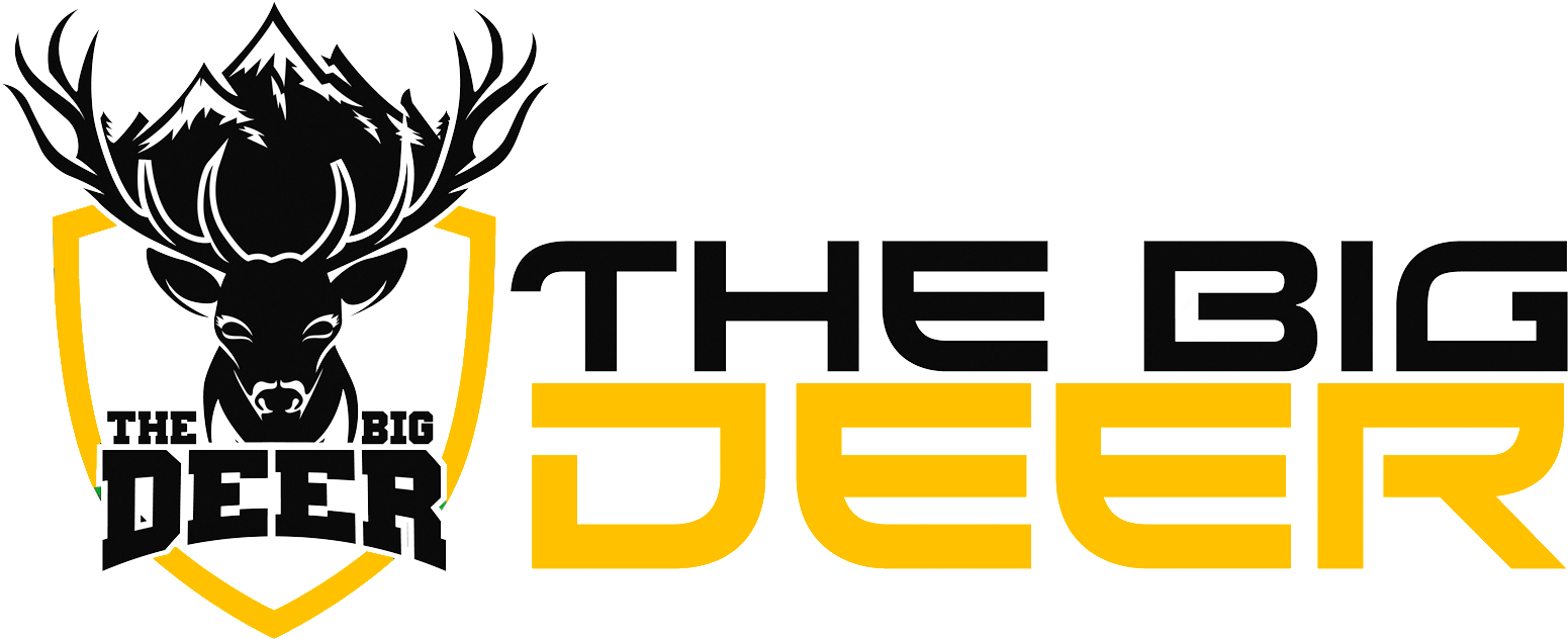 The Big Deer - Delhi Logo (1592x671), Png Download