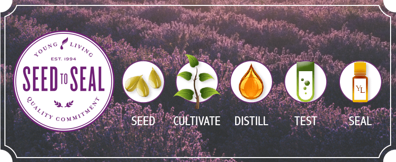 Young Living Seed To Seal Png Picture Royalty Free - Civilized To Death: What Was Lost (805x330), Png Download