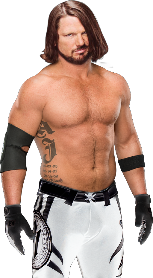 Aj Styles "new" - Aj Styles Elimination Chamber 2017 (511x930), Png Download