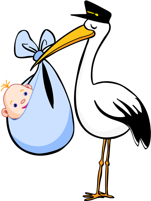Baby Boy Stork (562x720), Png Download
