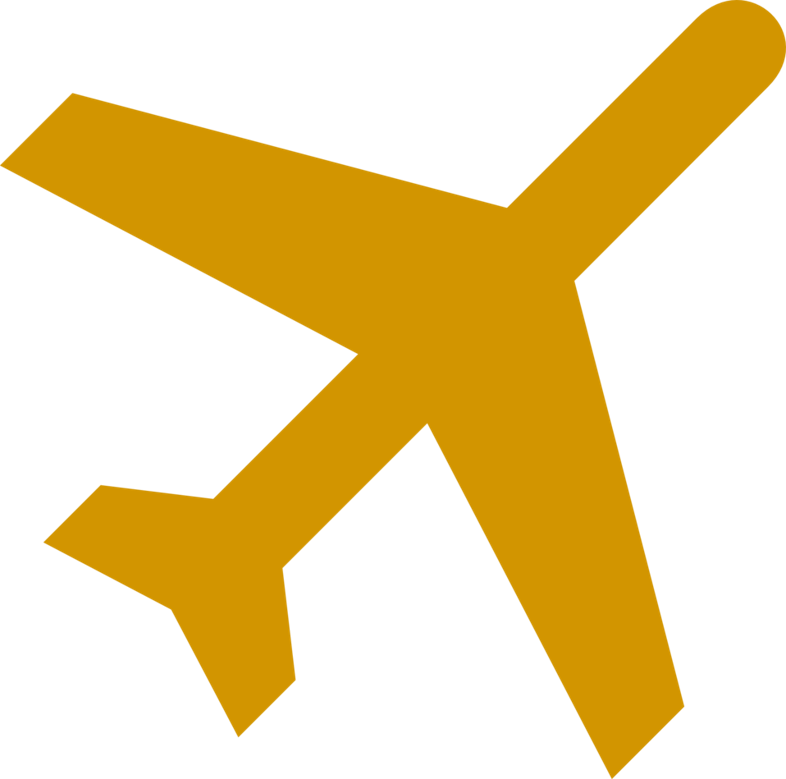 Airplane Clipart Download - Black Airplane Transparent Background (786x779), Png Download
