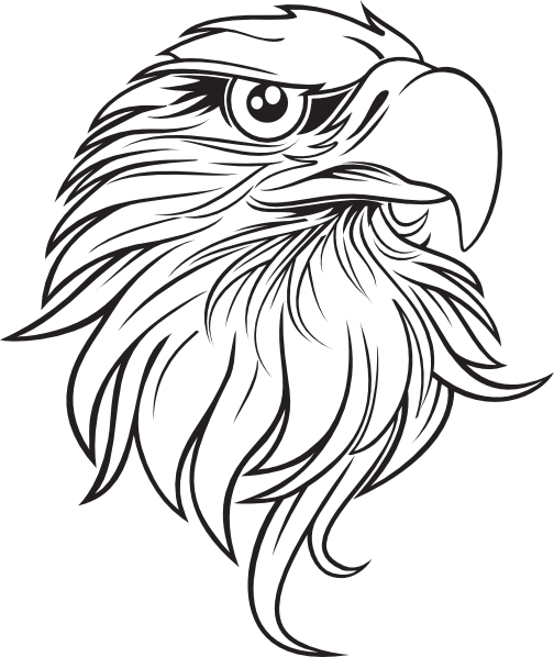 Eagle Clipart Black And White Football Clipart - Eagles Drawings Black And White (504x598), Png Download