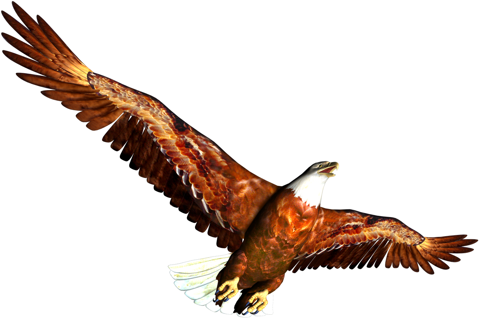 Eagle Clipart - Png Animal (1600x1131), Png Download