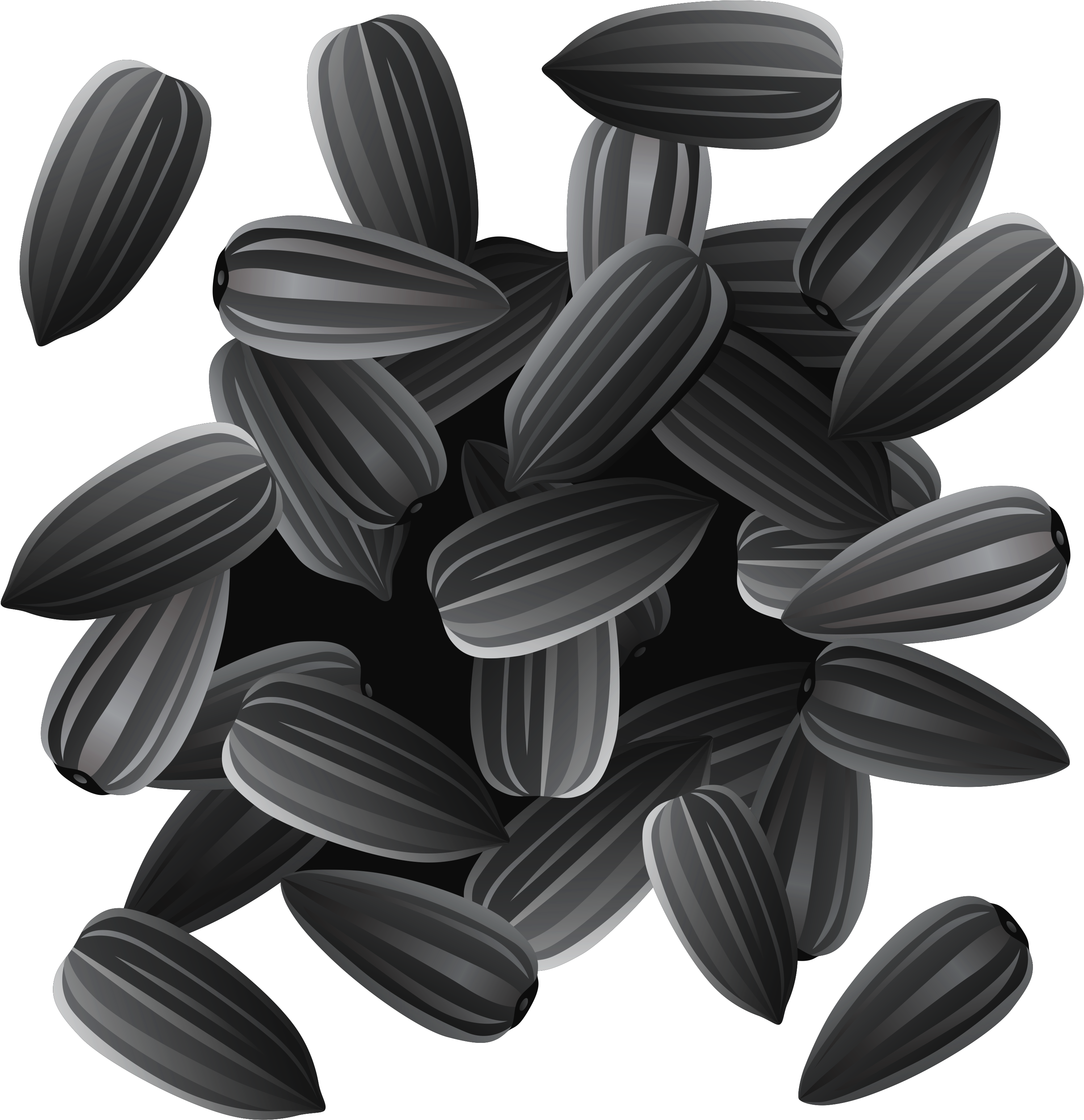 Sunflower Clipart Sunflower Seed - Seeds And Beans (3261x3272), Png Download