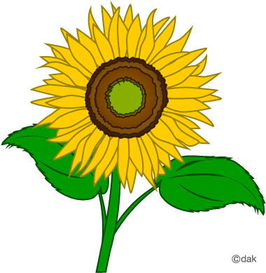Inspirational Sunflower Clipart Flower Clip Art Clipart - Sunflower Pictures Clip Art (400x400), Png Download