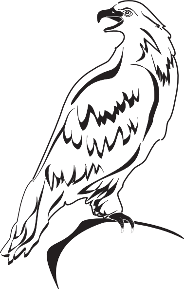Outline Clip Art At Clker Com Vector - Outline Image Of Eagle (378x593), Png Download