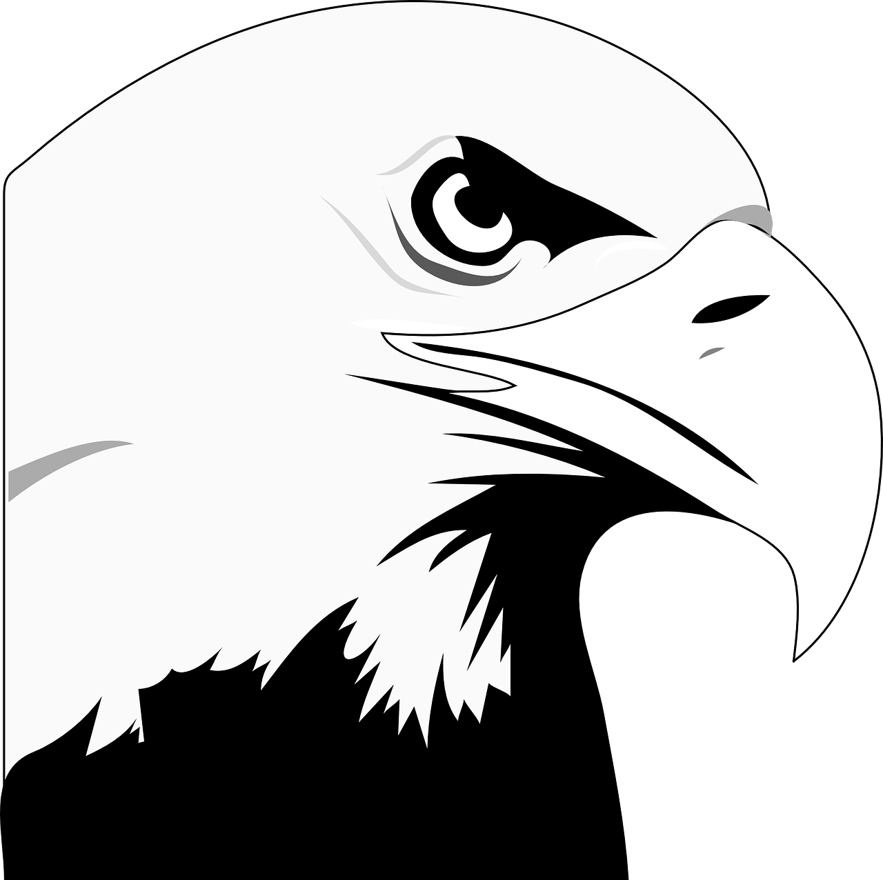 Animated Eagle - Clipart Library - Black And White Bald Eagle Clipart (600x598), Png Download