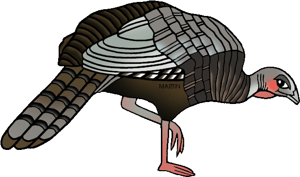 Turkey Png Clipartu200b - Wild Turkey Bird Png (648x414), Png Download