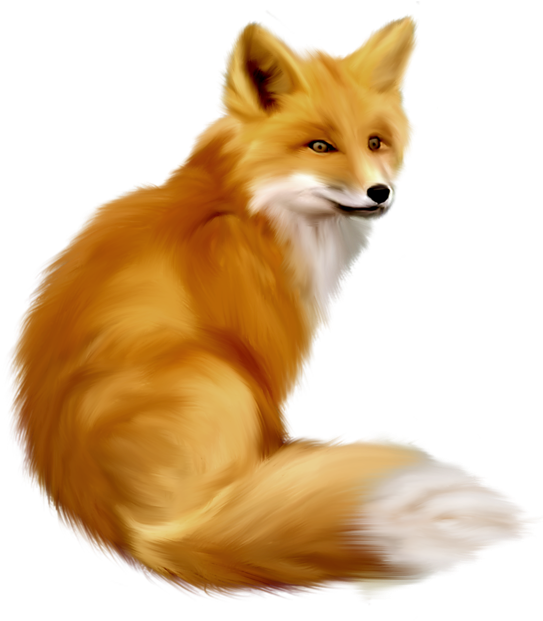Fox Clipart (550x622), Png Download