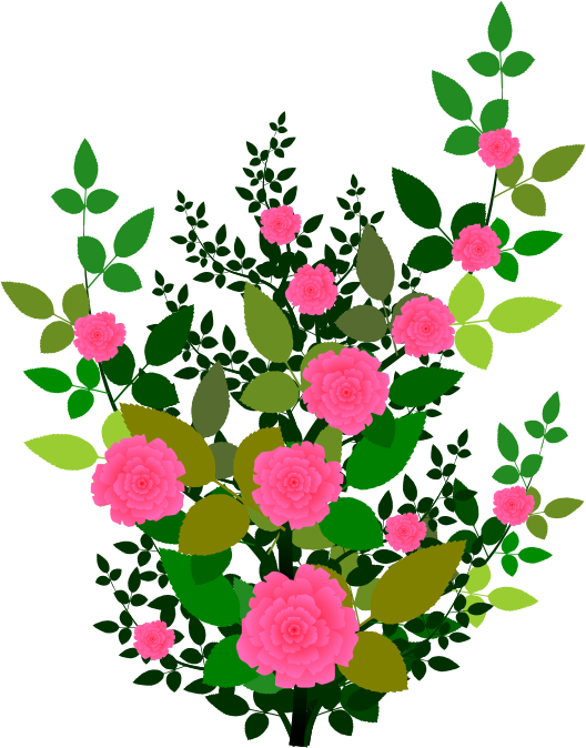 Clipart Rose Plant Clipartfest - Bunga Pink Clip Art Png (528x674), Png Download