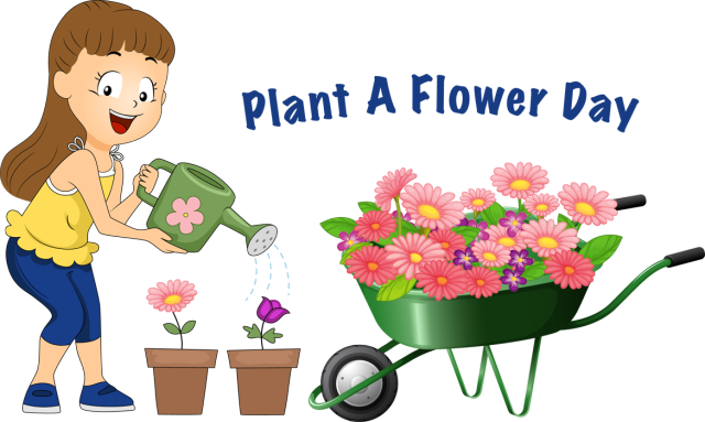 Plant A Flower Dayjcb Specialties - Flower (640x383), Png Download