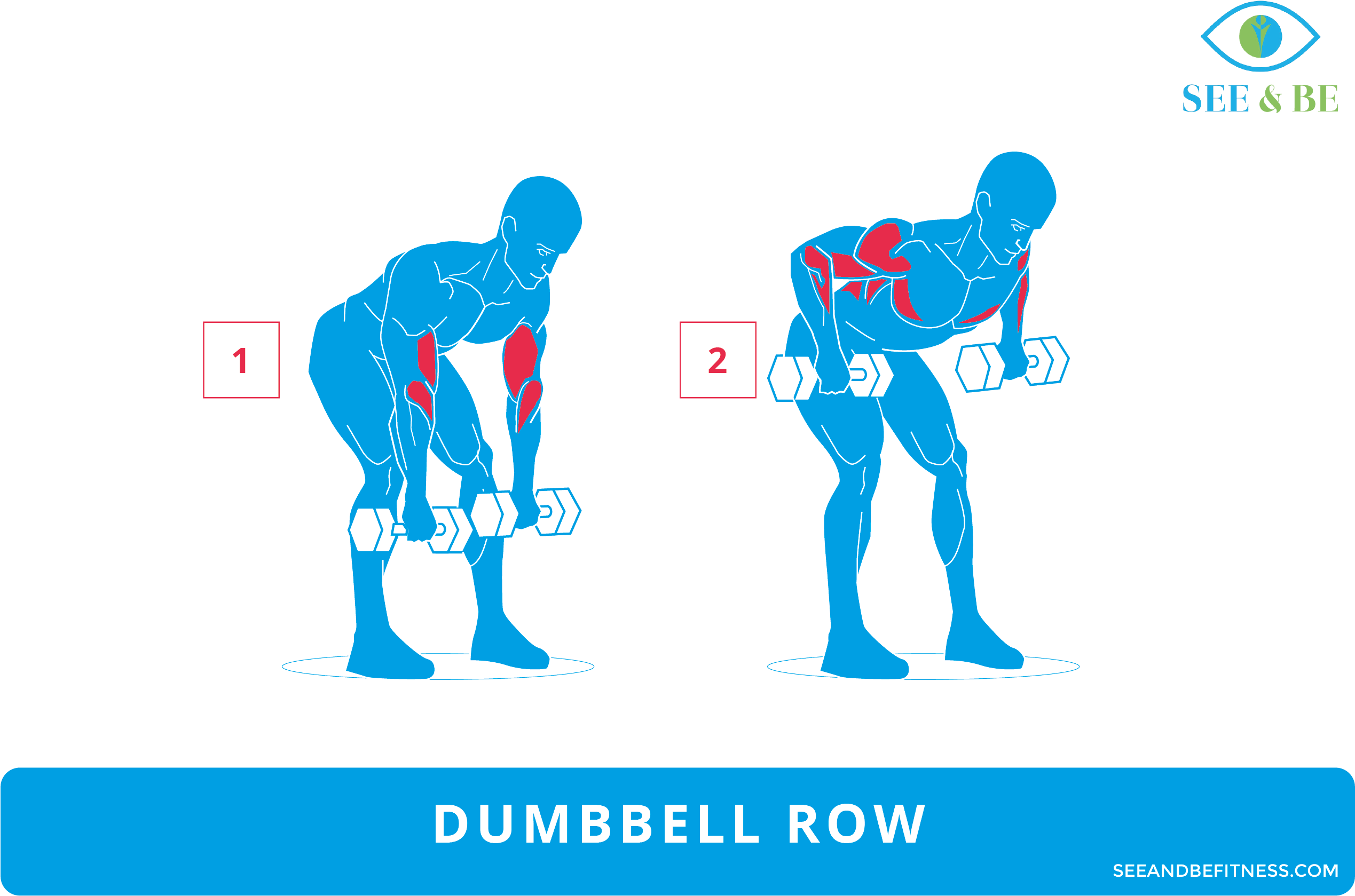 Dumbbell Row, See & Be Fitness Static Cling Decal - Exercise (2766x1866), Png Download