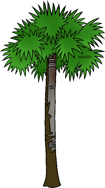 Florida Clipart State - South Carolina State Tree Cartoon (368x648), Png Download