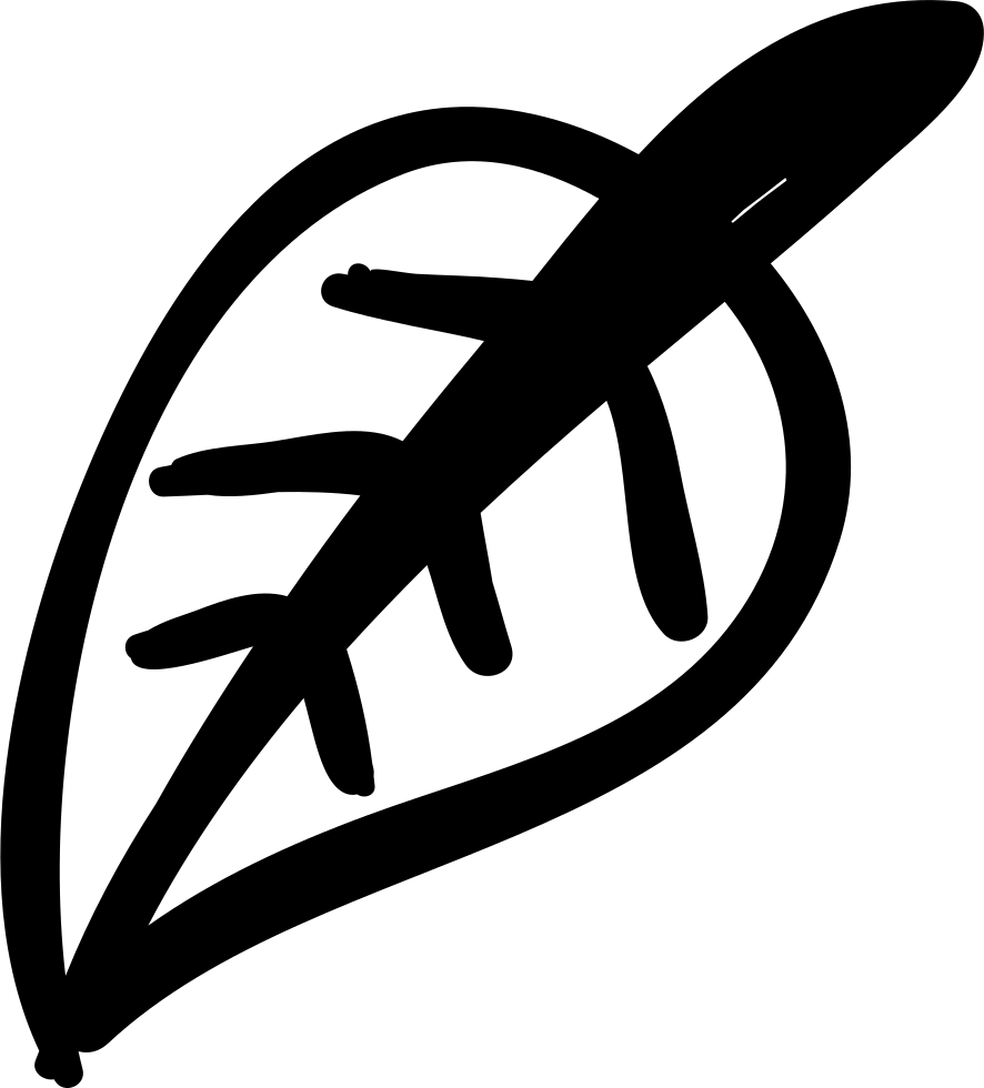 Leaf Outline - - Portable Network Graphics (886x980), Png Download