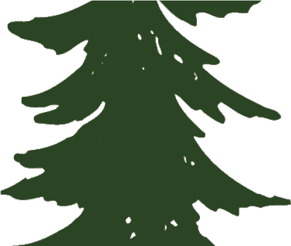 Pine Tree Clipart - Pine Tree Graphic (640x480), Png Download