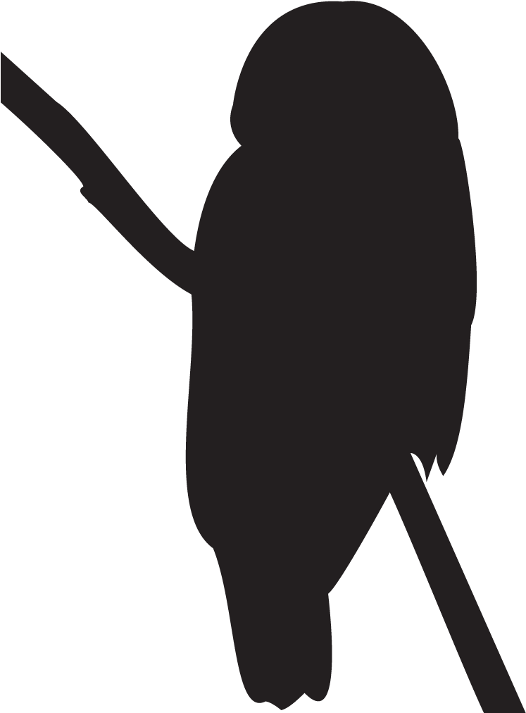Barred Owl Overview, All About Birds, Cornell Lab Of - Northern Spotted Owl Silhouette (1024x1024), Png Download