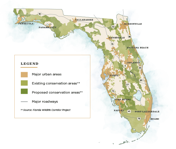 Florida Map Displaying The Existing Proposed And Urban - Florida Bonneted Bat Map (600x508), Png Download