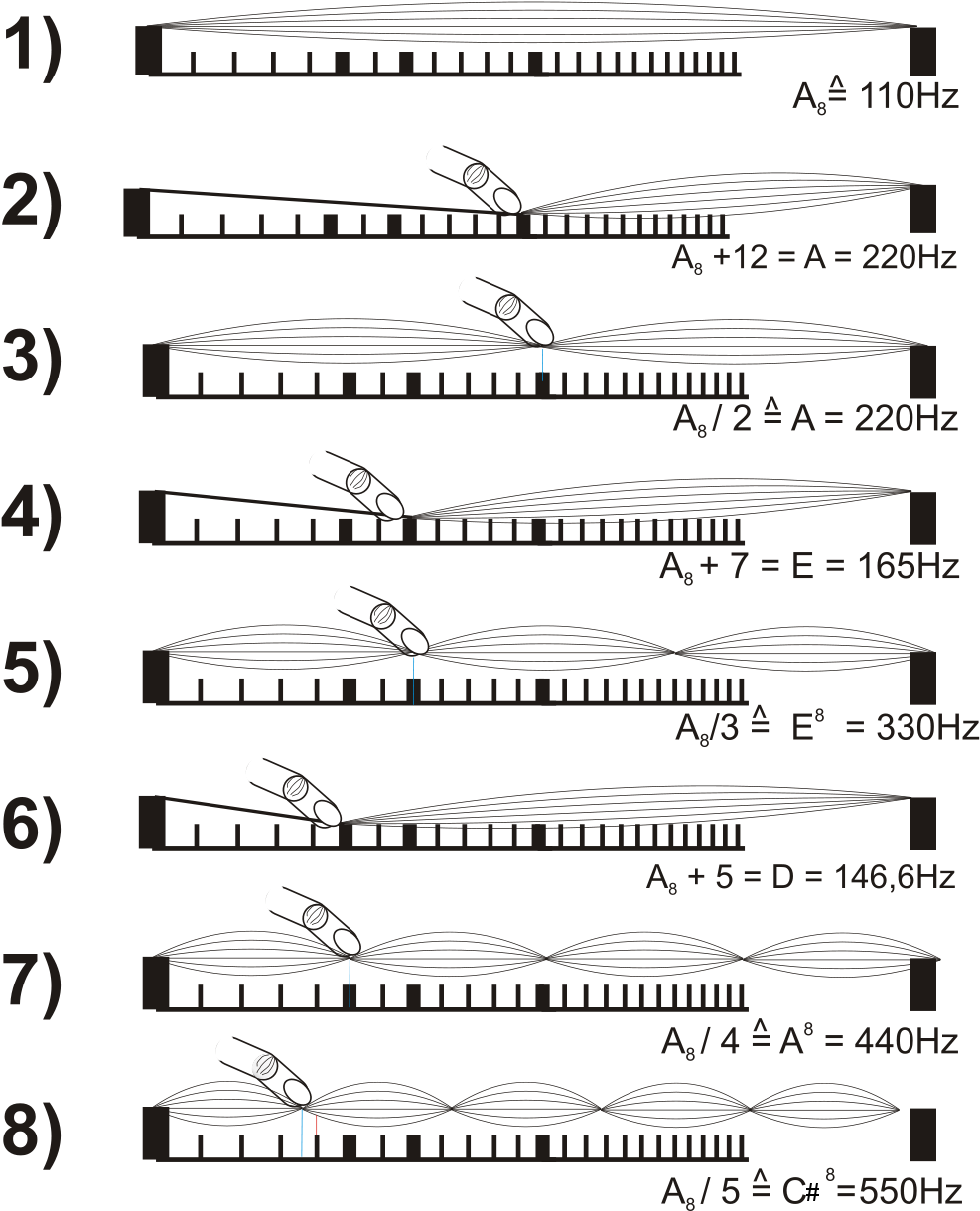 String Harmonics (1200x1360), Png Download