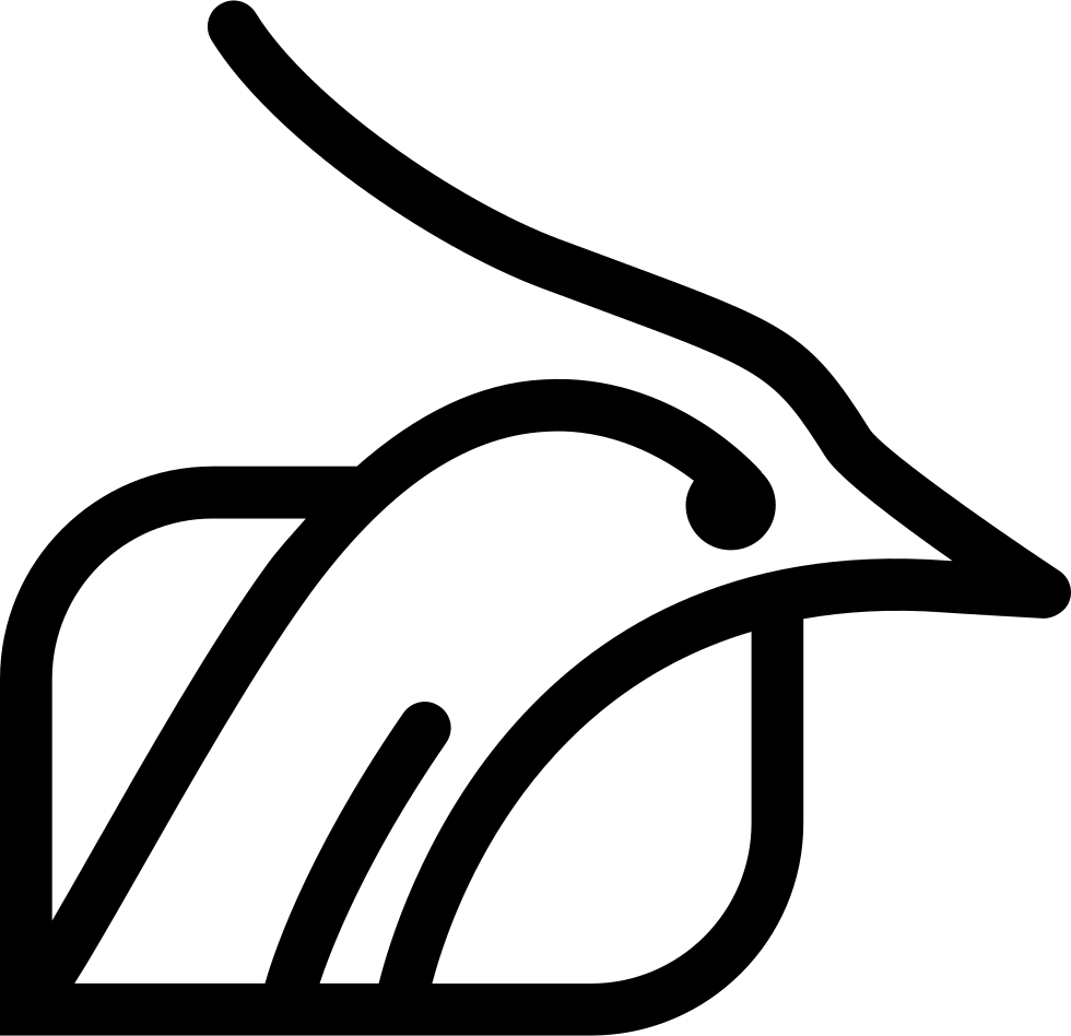 Bird Head Outline Inside A Shape Background Comments - Bird (980x948), Png Download