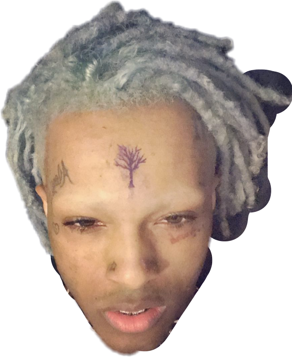 Xxxtentacion Memes (1024x1250), Png Download