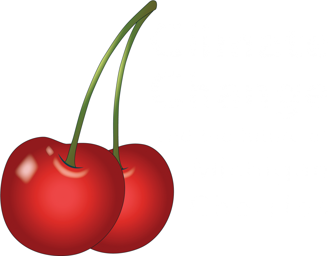 Ecology (1200x882), Png Download