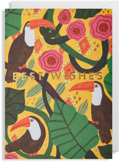 Best Wishes Toucan Greeting Card - Illustration (560x600), Png Download
