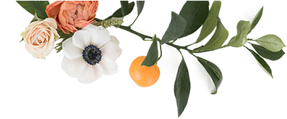 Garden Roses (779x279), Png Download